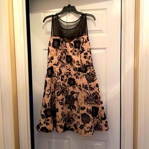 Trixxi Mesh Fit and Flare Dress